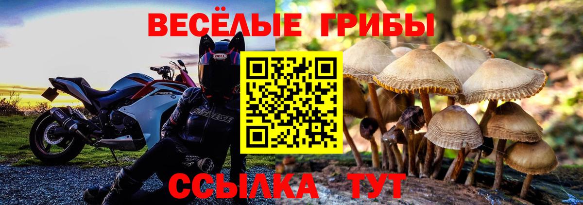 Галлюциногенные грибы мицелий  Вход с VPN  Тейково  как найти наркотики  Псилоцибиновые грибы мухоморы 
